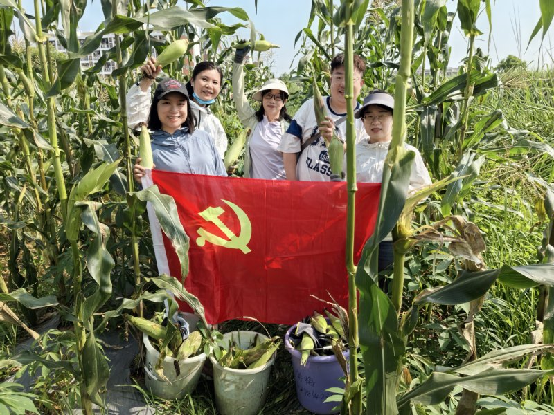 共收金穗践初心 联建聚力促融合...